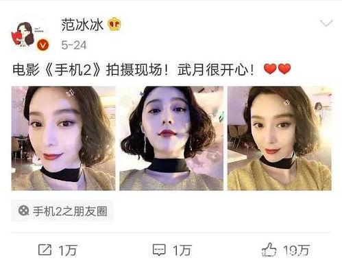 娱乐圈吃瓜兔子是谁,揭秘其背后的真实身份